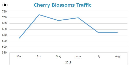 cherry-blossoms-traffic