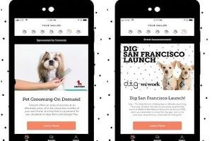 Dig Review- A Dating App for Dog Lovers