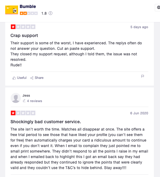 Bumble-Support-Review-7