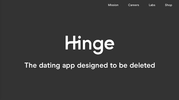 Hinge繝ｼReview-1