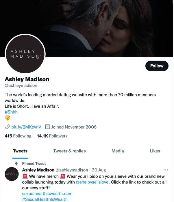 Ashley-Madison-Main-Review9