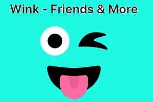 Wink – Friends & More App Review